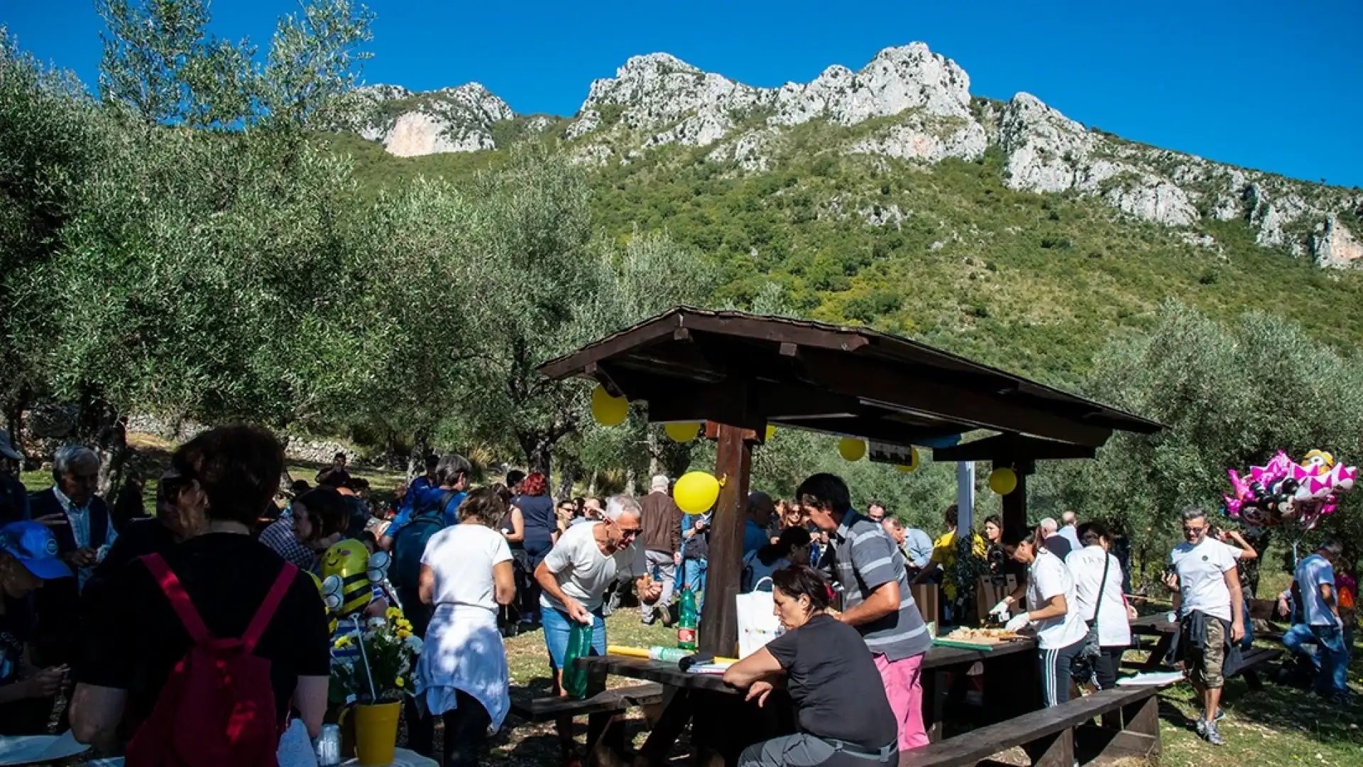 Venafro: nel week end la tradizionale camminata tra gli olivi